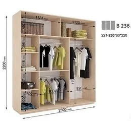 Шкаф-купе В 236 (2300х600х2200)