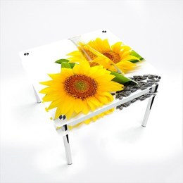 Стол обеденный Квадратный с проходящей полкой Sunflower