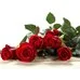 Стіл журнальний Прямокутний Red Roses
